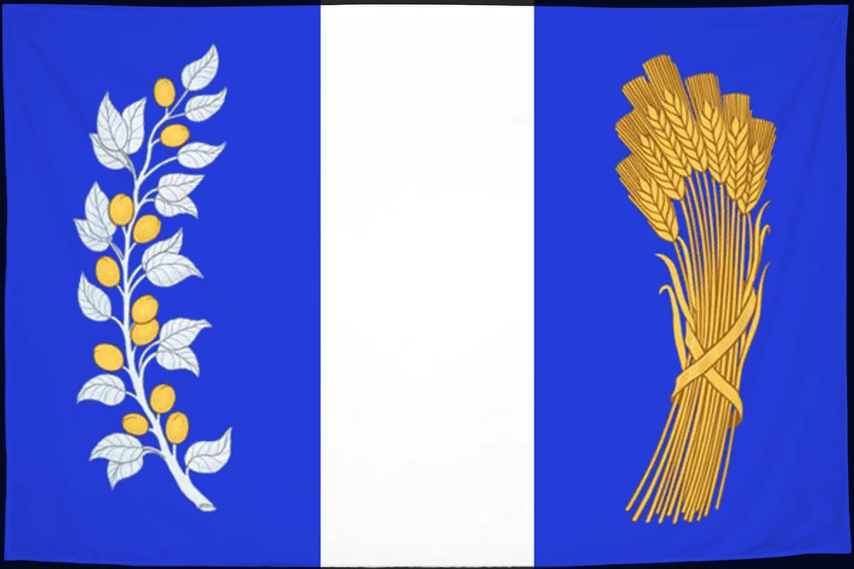 Флаг: Бичурский район